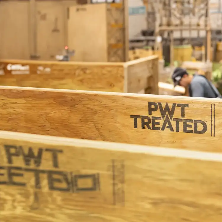 Photo of PWT Treated LVL Framing