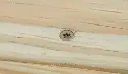 Photo of a wood decking board with a wood screw in it